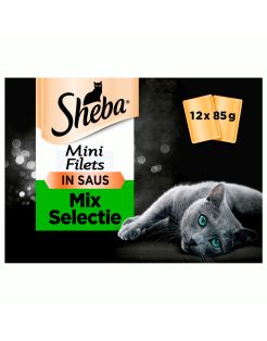 Felix Natvoer voor katten, zo goed als het eruit ziet in gelei senior Felix Natvoer voor katten, zo goed als het eruit ziet in gelei senior