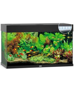 Juwel Aquarium Rio 125 Led 80x35x50 cm - Aquaria
