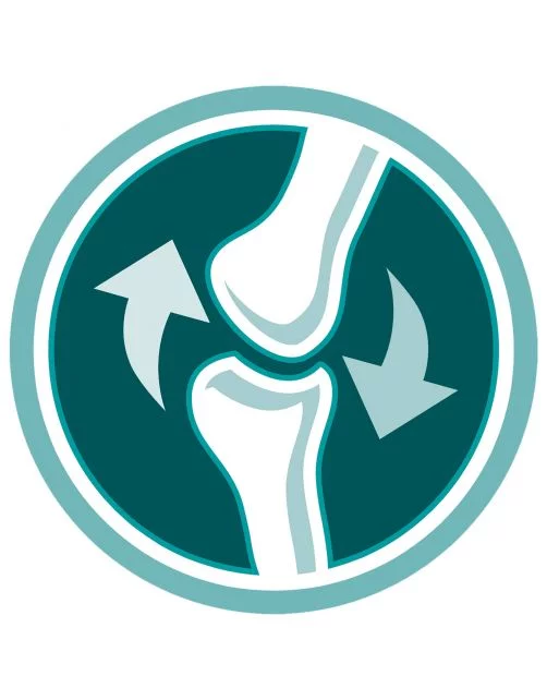 Purina One Adult Zalm&Granen - Kattenvoer - 3 kg