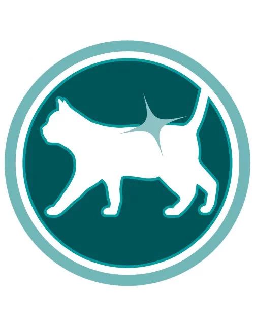 Purina One Adult Zalm&Granen - Kattenvoer - 3 kg