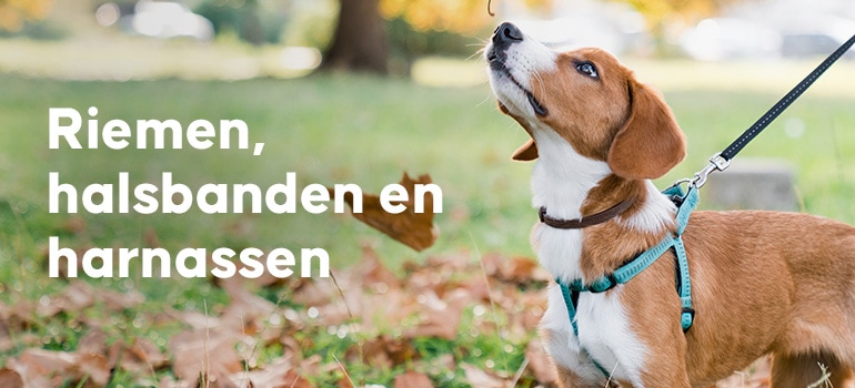 Hondentuigje met Naam - Anti-Trektuig