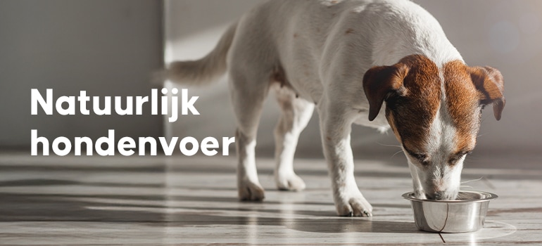 Naturo Zalm en aardappel voor de hond reserveren | Albert Heijn Naturo Zalm en aardappel voor de hond reserveren | Albert Heijn