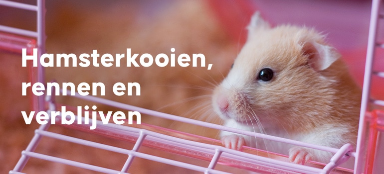ZooPaul Knaagdierenkooi, hamsterkooi, XXL, met accessoires, muis, hamster, kooi, tunnel, huis (beige